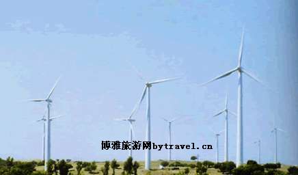 包拉温都杏树林