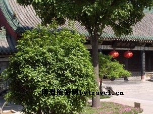 包公墓园