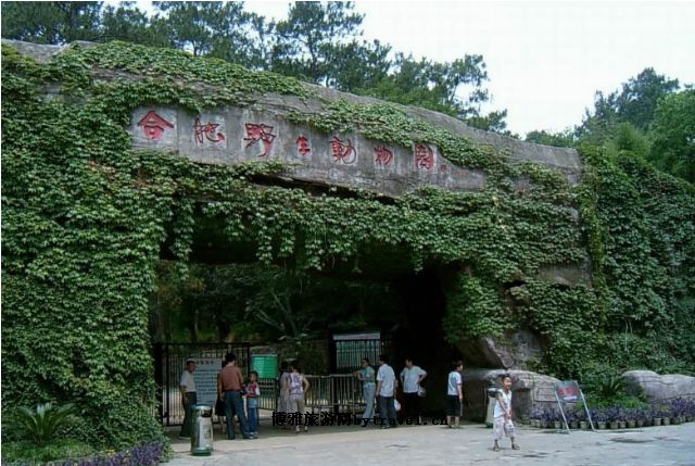 合肥野生动物园