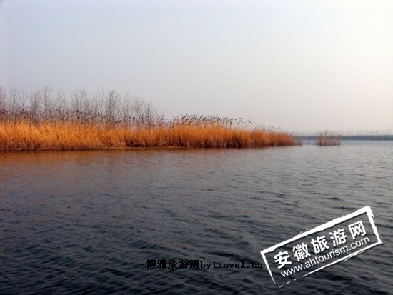 沱湖湿地
