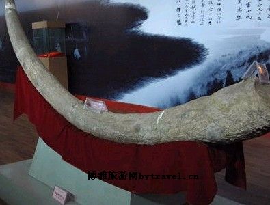 蚌埠博物馆