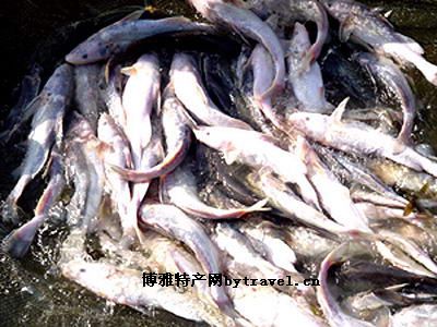 淮南豆腐干