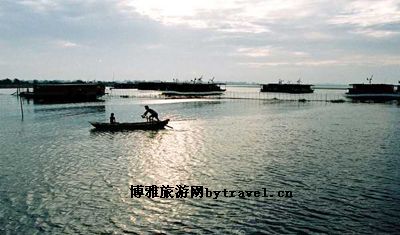 焦岗湖景区