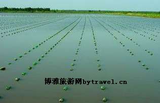 雷池