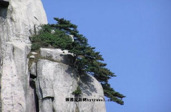 妙道山