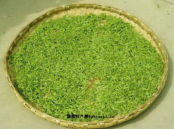屯溪绿茶