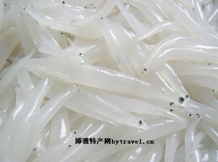 瓦埠湖银鱼