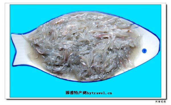 定海湾丁-香鱼