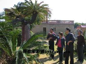 小嶝休闲