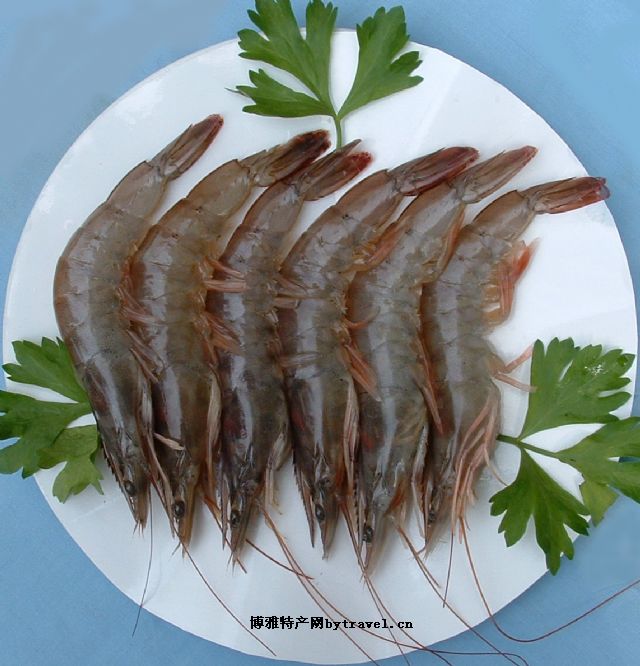 津浦对虾