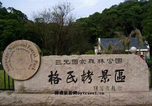三元格氏栲