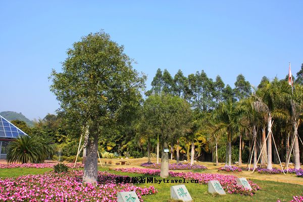 漳州花博园