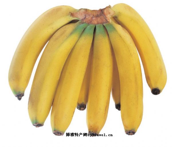 天宝香蕉