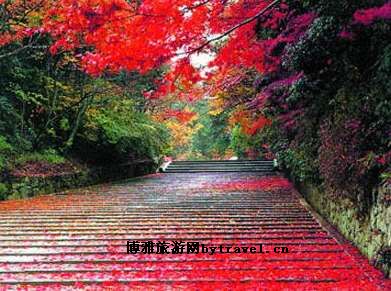 淮山