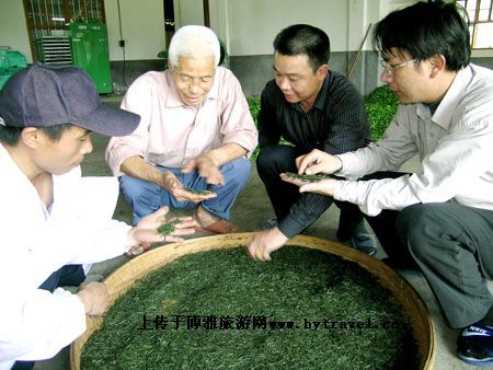 武平绿茶