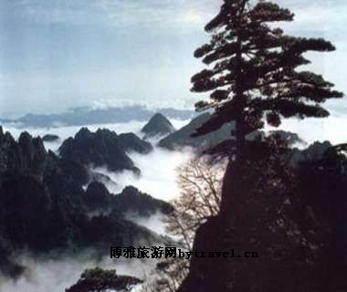 龙岩梅花山自然保护区