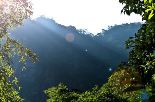 石山园
