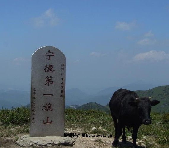 第一旗山