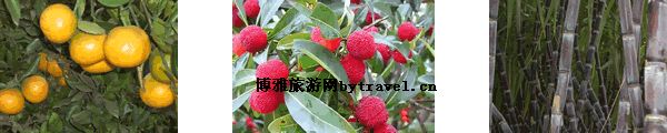 赤家垅花果山