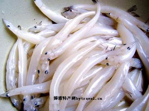 鄱阳湖银鱼