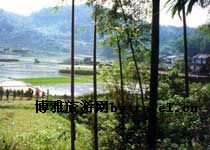 高岭村