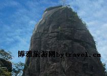神龙戏松