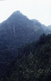 紫瑶山