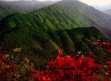 峰山国家森林公园