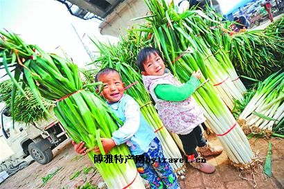 章丘大葱