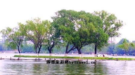 大明湖