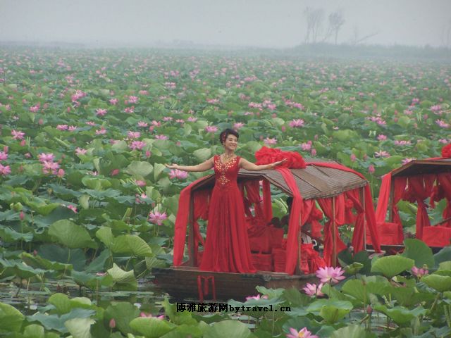 微山湖湿地红荷旅游区