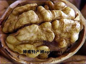 峄城芸豆