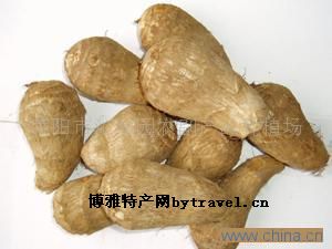 莱阳芋头