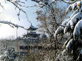 南山公园