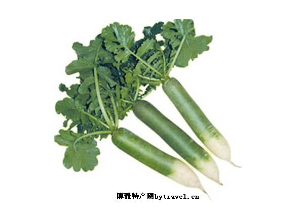 潍县萝卜