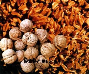 芍药山核桃