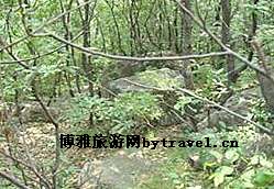 黄庙沟森林公园