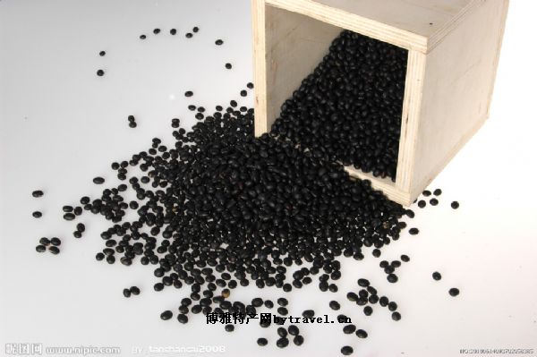 获嘉黑豆