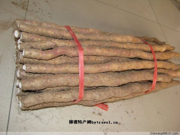 铁棍山药