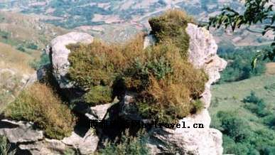 龙虎山风景区