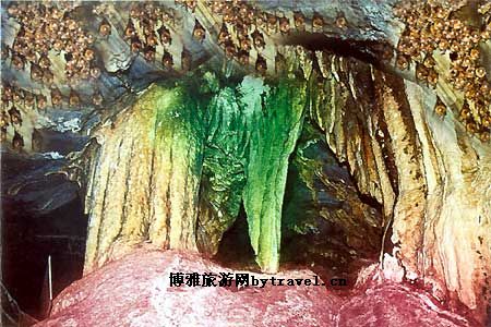 云华蝙蝠洞
