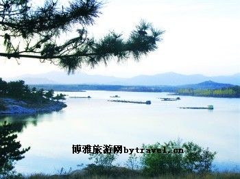 羰