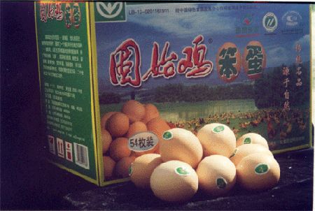 固始鸡
