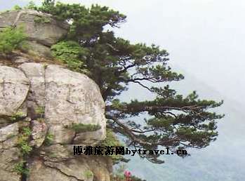 金刚台地质公园