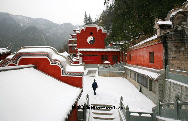 瓦块鱼