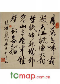 ţ