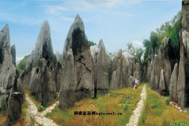 奥陶纪石林