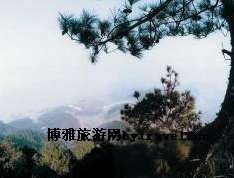 沼山森林公园