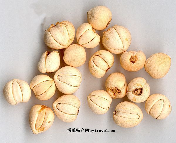 根茎类—湖北贝母─蒲圻贝母