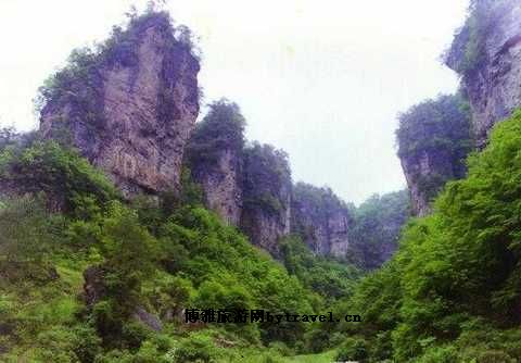 红坪画廊